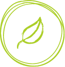 Icon für vegan